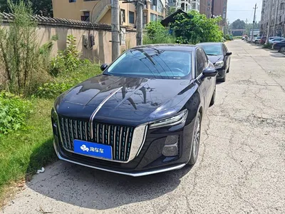 2023 Hongqi H5 2.0T Auto Smart Connect Flag Comfort, фото 2, лот 10287900