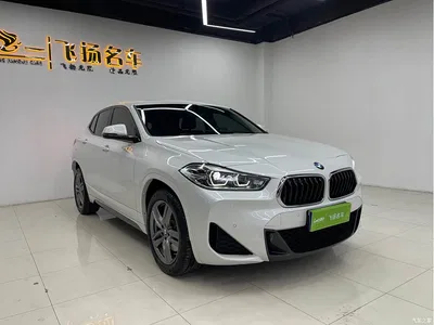 2023 BMW X2 sDrive25i M Sport Shadow Edition, фото 2, лот 10475422