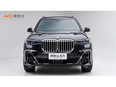 2019 BMW X7 xDrive40i Exclusive M Sport Package, фото 2, лот 10475810
