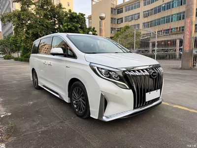 2021 GAC Trumpchi Trumpchi M8 Master Series 390T Ultimate Edition, фото 3, лот 10415903