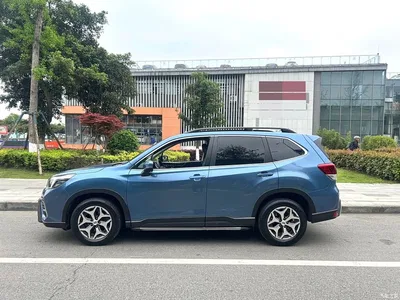 2019 Subaru Forester 2.0i Luxury Edition EyeSight, фото 4, лот 10444951