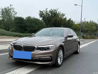 2018 BMW 5 Series Facelift 530Li Leading Luxury Package, фото 3, лот 10838339