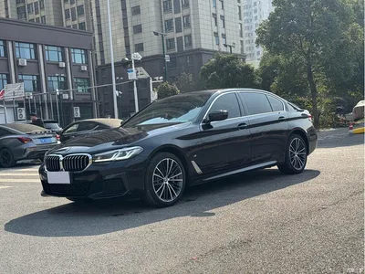 2023 BMW 5 Series 530Li Leading M Sport Package, фото 1, лот 11567966