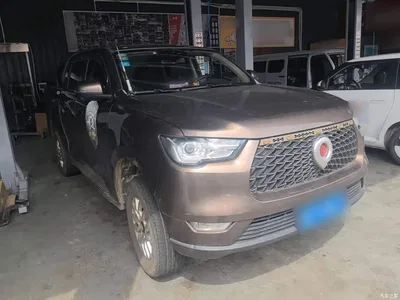 2019 Great Wall Pao 2.0T Commercial Version Manual Diesel 4WD Pilot Standard Box GW4D20M, фото 4, лот 10246393