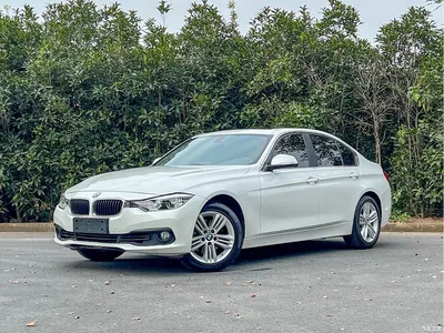 2017 BMW 3 Series 318i Fashion, фото 1, лот 11002527