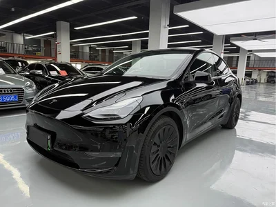 2021 Tesla Model Y Standard Range Rear-Wheel Drive, фото 1, лот 11173794