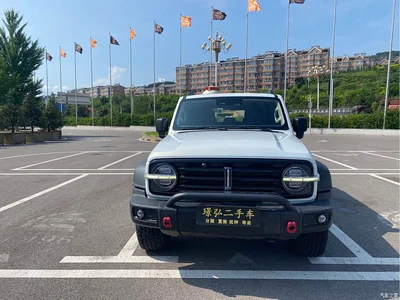 2021 Tank 300 Off-road Edition 2.0T Explorer, фото 1, лот 10356917