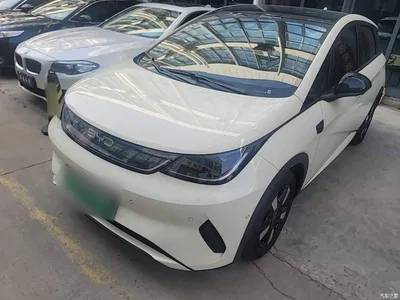 2025 BYD Dolphin Smart Drive Edition 410km Fashion Version, фото 2, лот 11067339