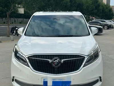 2017 Buick GL8 ES 28T Luxury China V, фото 2, лот 10253383