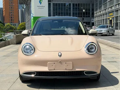 2021 Ora Good Cat 400km Standard Range Official Version (LFP), фото 2, лот 10332213