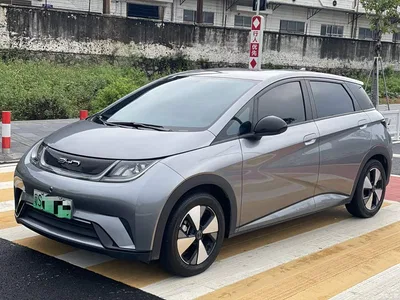 2024 BYD Dolphin Glory Edition 420km Freedom Edition, фото 1, лот 10254446