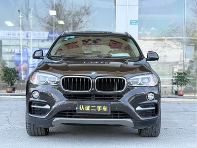 2015 BMW X6 xDrive35i Luxury Model, фото 2, лот 10427894