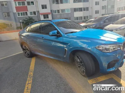 2017 BMW X6M 4.4, фото 3, лот 10081855