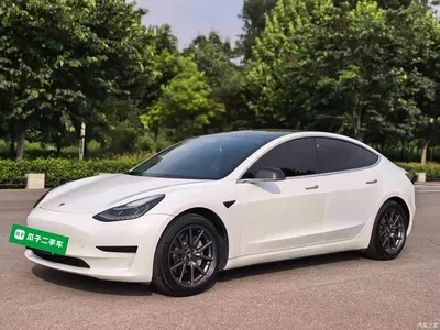 2020 Tesla Model 3 Standard Range Rear-Wheel Drive Upgrade, фото 2, лот 10369963