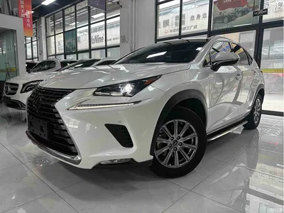 2018 Lexus NX Model 200 AWD Fengshang Edition China V, фото 1, лот 10312708