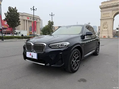 2023 BMW X3 xDrive25i M Sport Package, фото 1, лот 11222880