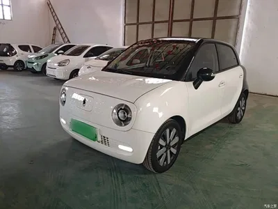2021 Ora Black Cat 351km Standard Model, фото 2, лот 10481583