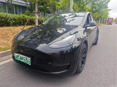 2022 Tesla Model Y Rear-Wheel Drive Version, фото 1, лот 10769345