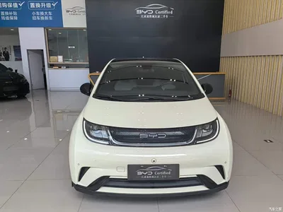 2023 BYD Dolphin 420km Fashion Edition, фото 2, лот 11198859