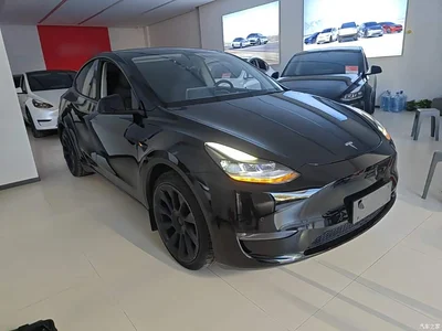 2021 Tesla Model Y Standard Range Rear-Wheel Drive, фото 4, лот 11468894