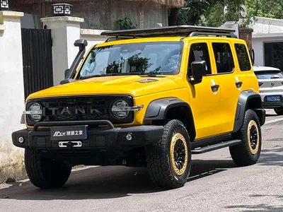 2022 Tank 300 2.0T Border Limited Edition, фото 1, лот 10344862