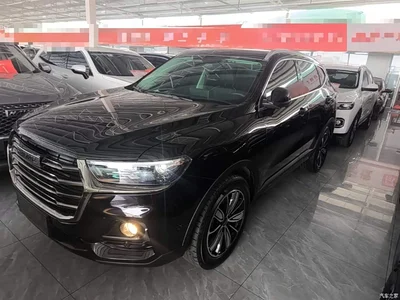 2021 Haval H6 National Trend Edition 1.5GDIT Automatic Luxury Edition, фото 2, лот 10287184
