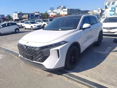 2021 Venucia Big V 260T Idol Edition, фото 2, лот 11146447
