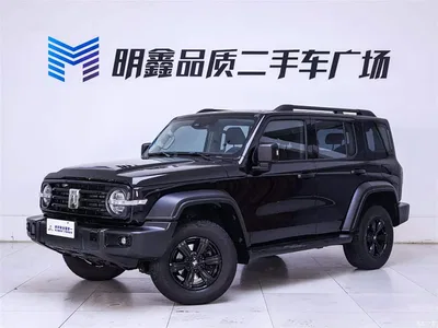 2021 Tank 300 Off-road Version 2.0T Conqueror, фото 2, лот 10343987