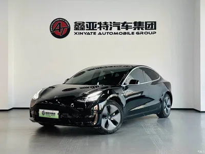 2020 Tesla Model 3 Standard Range Rear-Wheel Drive Upgrade, фото 2, лот 10954730