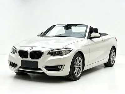 2015 BMW 2 Series (Import) 218i Convertible Coupe, фото 1, лот 10238466