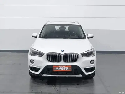 2018 BMW X1 xDrive20Li Premium Model, фото 3, лот 11193779