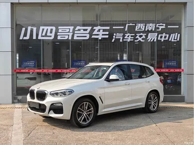 2018 BMW X3 xDrive25i M Sport Package China V, фото 1, лот 10400739