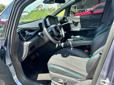 2024 BYD Dolphin Glory Edition 401km Knight Edition, фото 4, лот 10252469