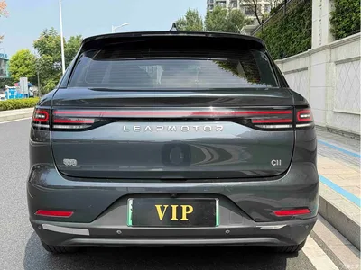 2023 Leapmotor C11 Pure Electric 500 Comfort Edition, фото 4, лот 11193252