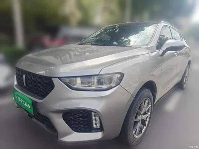 2019 WEY VV5 1.5T 2WD Style Pioneer, фото 1, лот 10451920