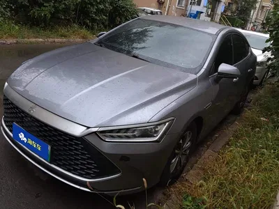 2023 BYD Qin PLUS Champion Edition DM-i 55KM Leading, фото 2, лот 11202686