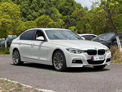 2019 BMW 3 Series 320Li M Sport Package, фото 1, лот 11074769