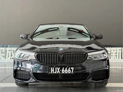 2020 BMW 5 Series 530Li Leading M Sport Package, фото 2, лот 11098239