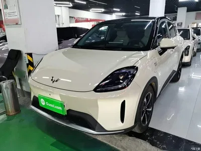 2025 Wuling Motors Wuling Bingo S Model 430km Premium Edition, фото 1, лот 10836365