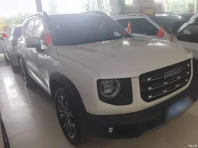 2021 Haval Big Dog 1.5T DCT 2WD Border Collie - Wangcai Edition, фото 4, лот 11196346