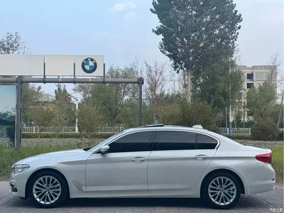 2020 BMW 5 Series 530Li Premium Luxury Package, фото 3, лот 11197168