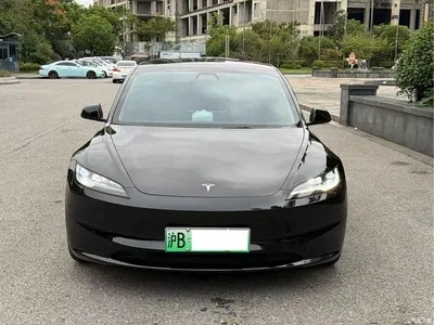 2025 Tesla Model 3 Model Rear-Wheel Drive Edition, фото 2, лот 11205613