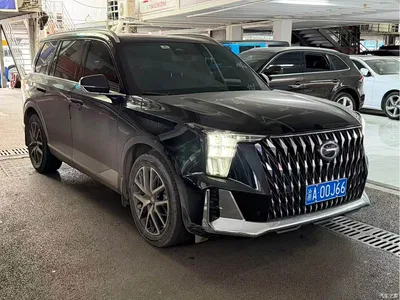 2022 GAC Trumpchi Trumpchi GS8 Dual Engine Series 2.0TM 2WD Premium Edition (7-Seater), фото 3, лот 10407422