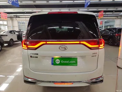 2021 GAC Trumpchi Trumpchi M8 Leading Show Series 390T Prestige Edition, фото 4, лот 11179743