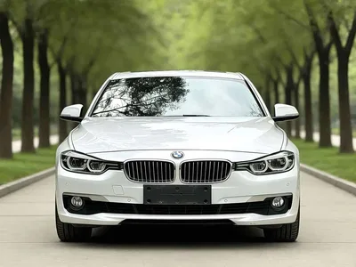 2019 BMW 3 Series 320Li Fashion Type, фото 2, лот 11248147