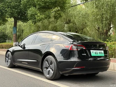 2022 Tesla Model 3 Model Rear-Wheel Drive Version, фото 3, лот 10367161
