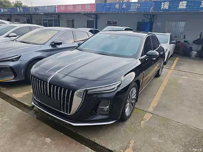 2023 Hongqi H5 2.0T Auto Smart Connect Flag Enjoy, фото 1, лот 11096113