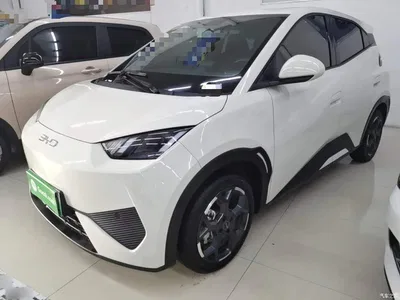2025 BYD Seagull Smart Drive Edition 405km Free Edition, фото 2, лот 10262768