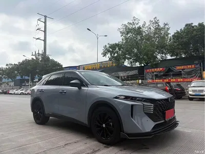 2021 Venucia Big V 260T King Edition, фото 3, лот 11153899