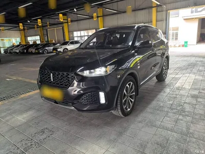 2018 WEY VV6 2.0T 2WD Flagship China V, фото 2, лот 10452357